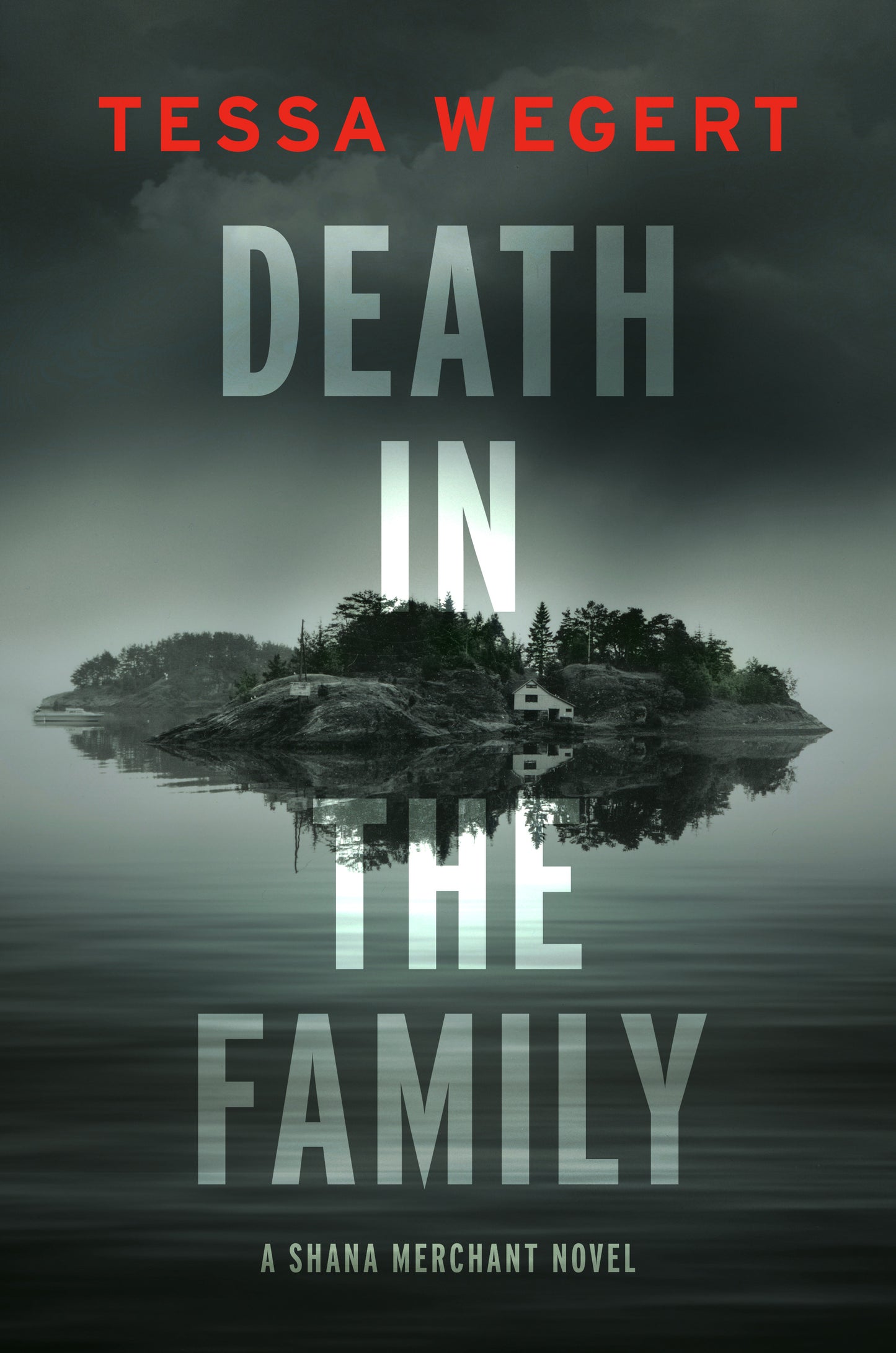 Book cover of 'Death in the Family' by Tessa Wegert
