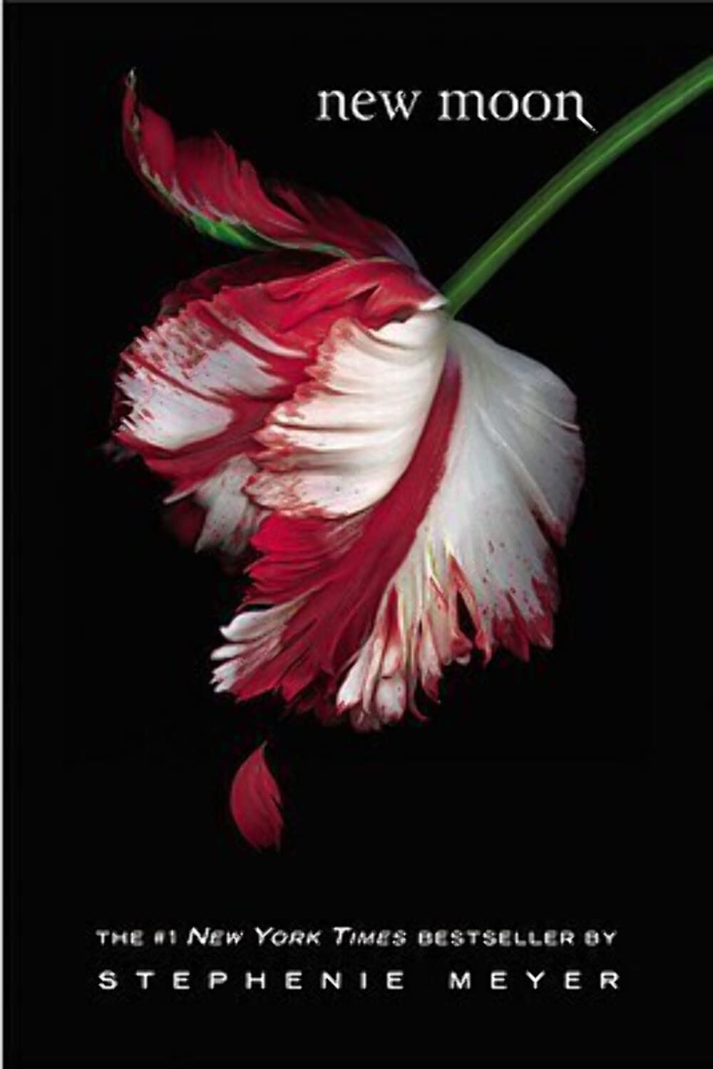 Book cover of 'New Moon'