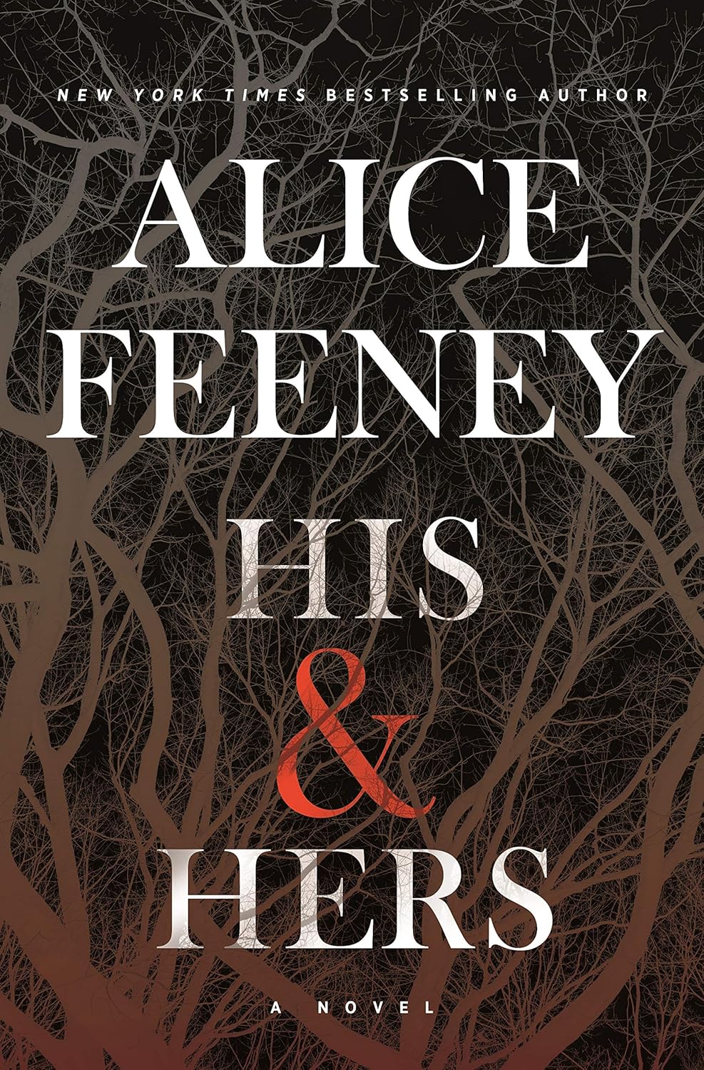 Book cover of 'His & Hers' by Alice Feeney