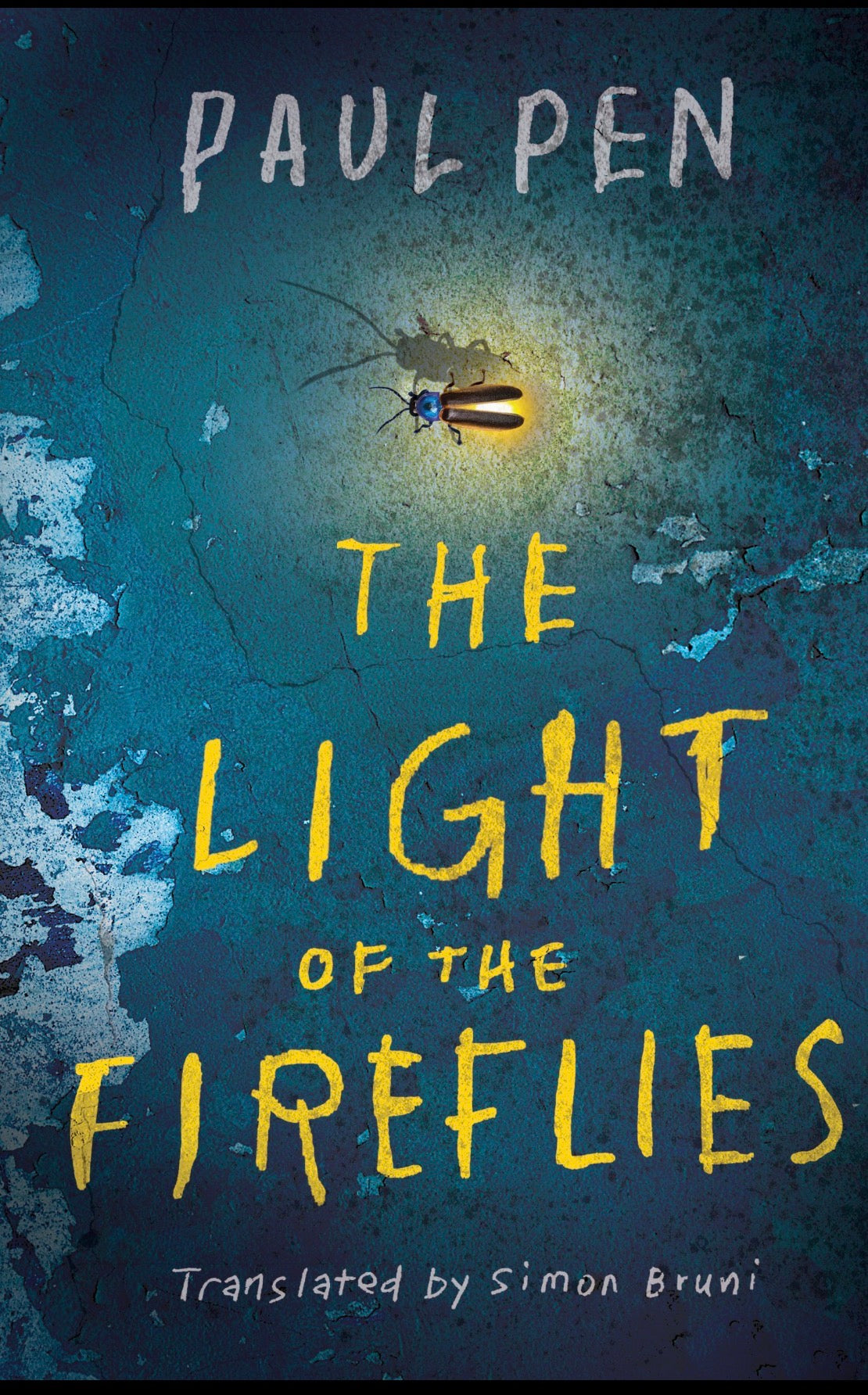The Light of the Fireflies
By Paul Pen