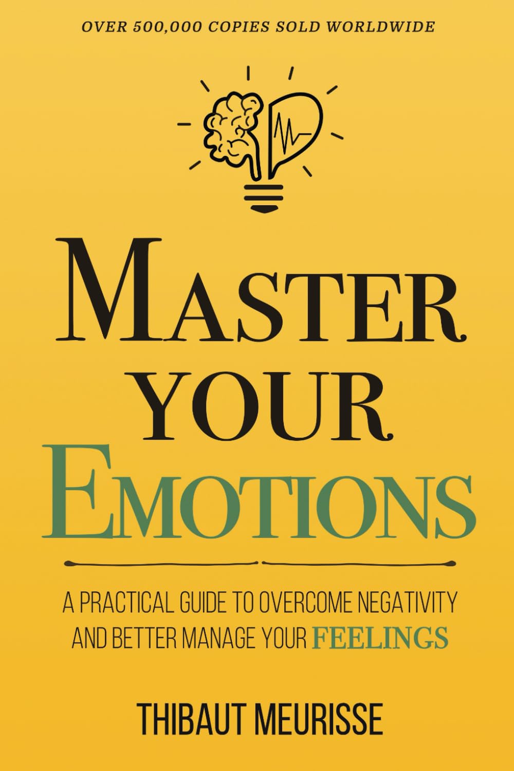 Master Your Emotions book by Thibaut Meurisse guide