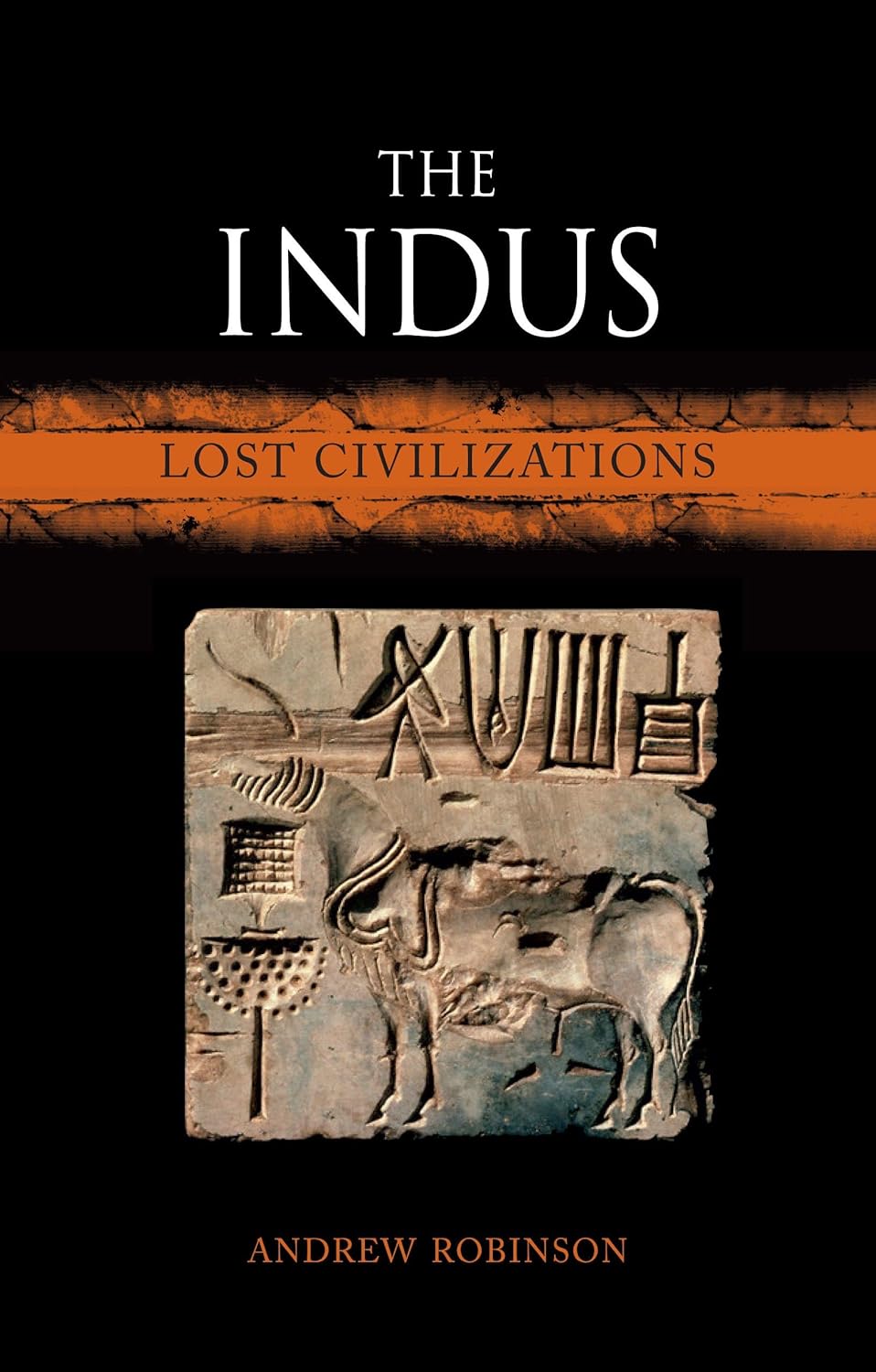 The Indus Lost Civilizations book by Andrew Robinson
