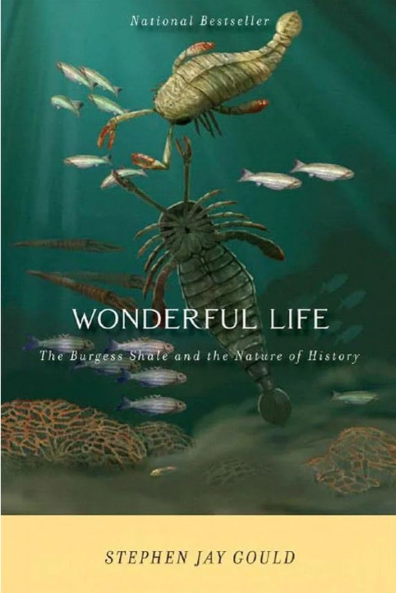 Wonderful Life: The Burgess Shale and the Nature of History
Book by Stephen Jay Gould