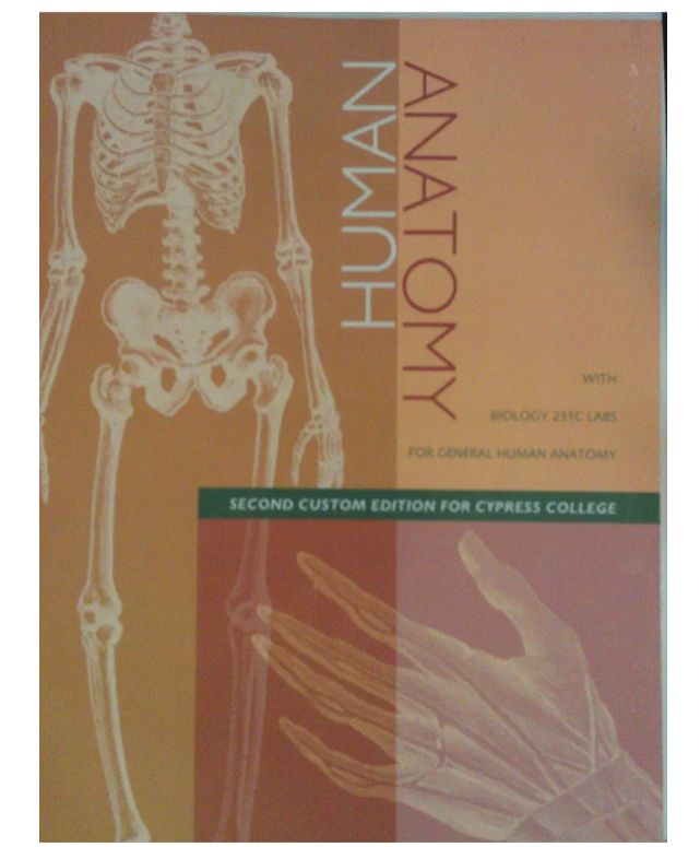 Human Anatomy
Book by Elaine Nicpon Marieb, Jon B. Mallatt, and Patricia Brady Wilhelm