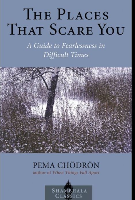 The Places That Scare You
Book by Pema Chödrön