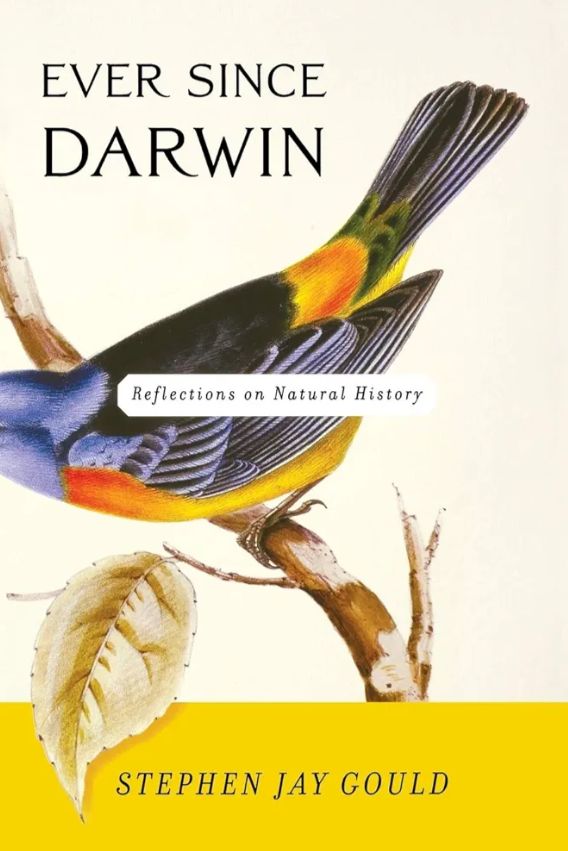 Ever Since Darwin: Reflections in Natural History
Book by Stephen Jay Gould