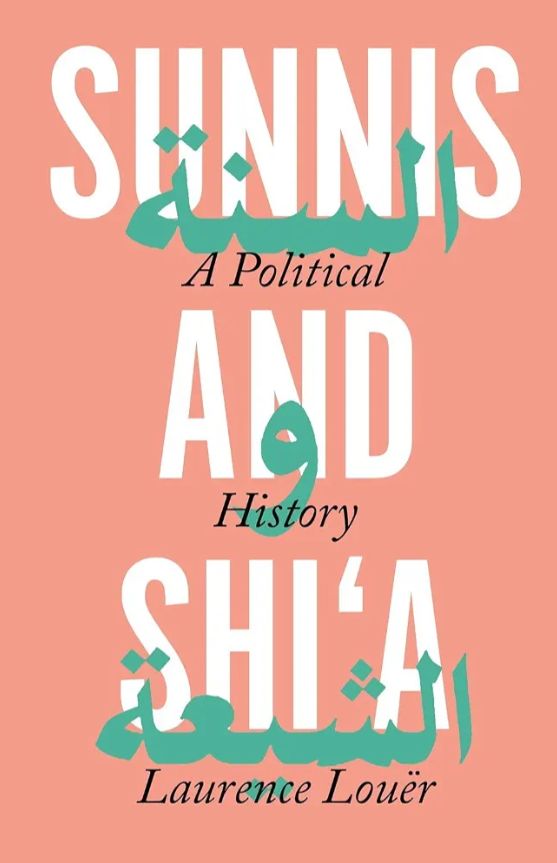 The Sunni-Shia Conflict Book by Laurence Louër