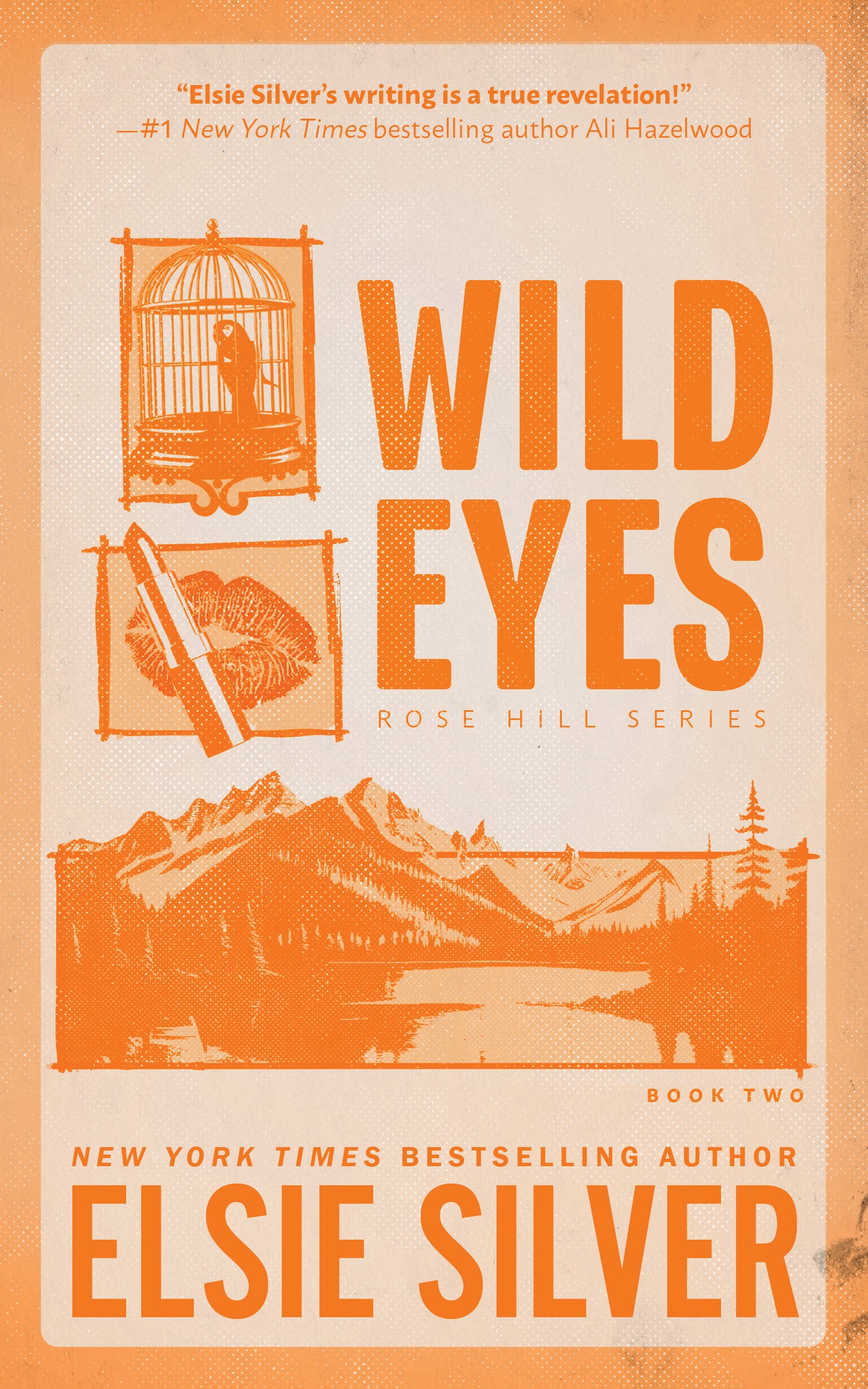 Book cover of 'Wild Eyes' by Elsie Silver 