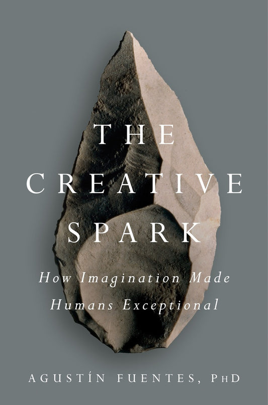 Book cover of 'The Creative Spark' with a stone design on a gray background