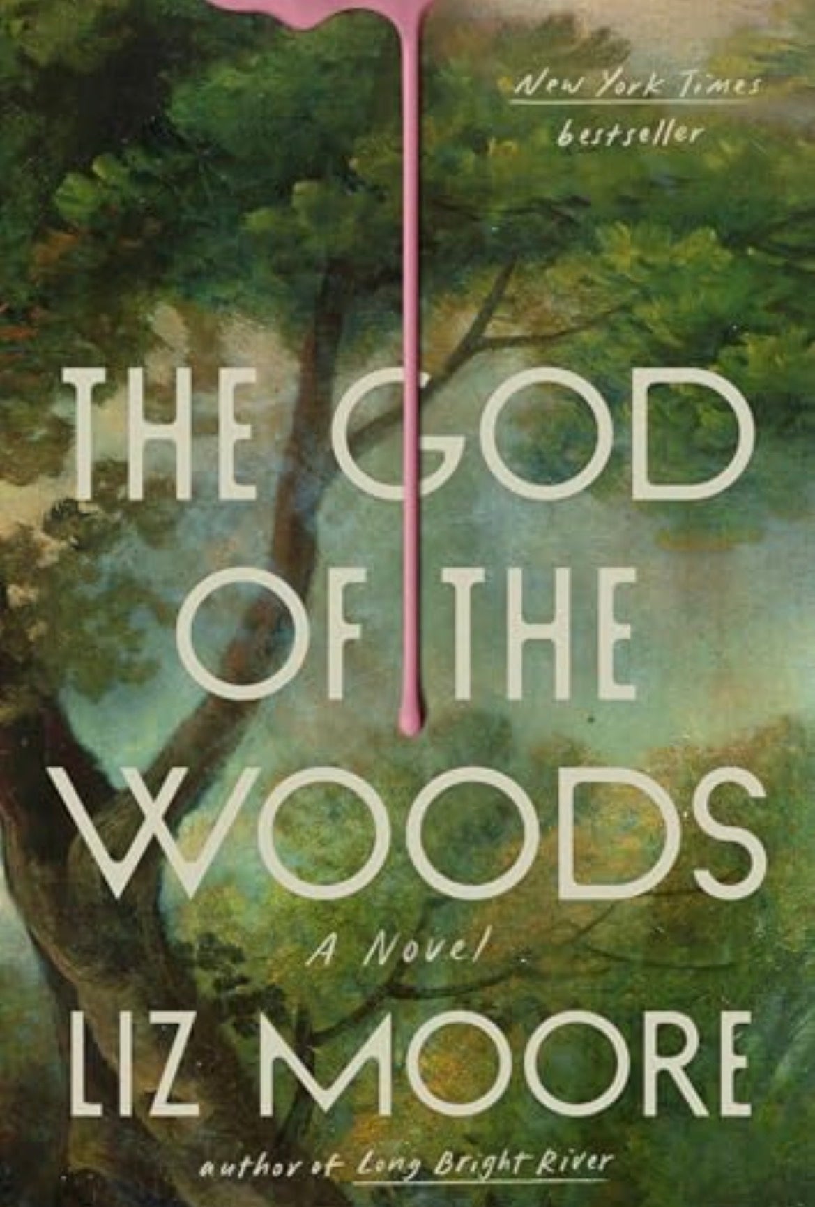The God of the Woods by Liz Moore