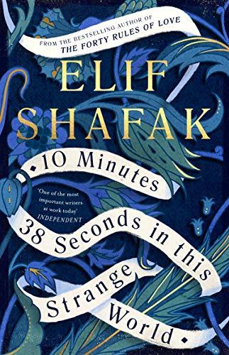 10 Minutes 38 Seconds in This Strange World book