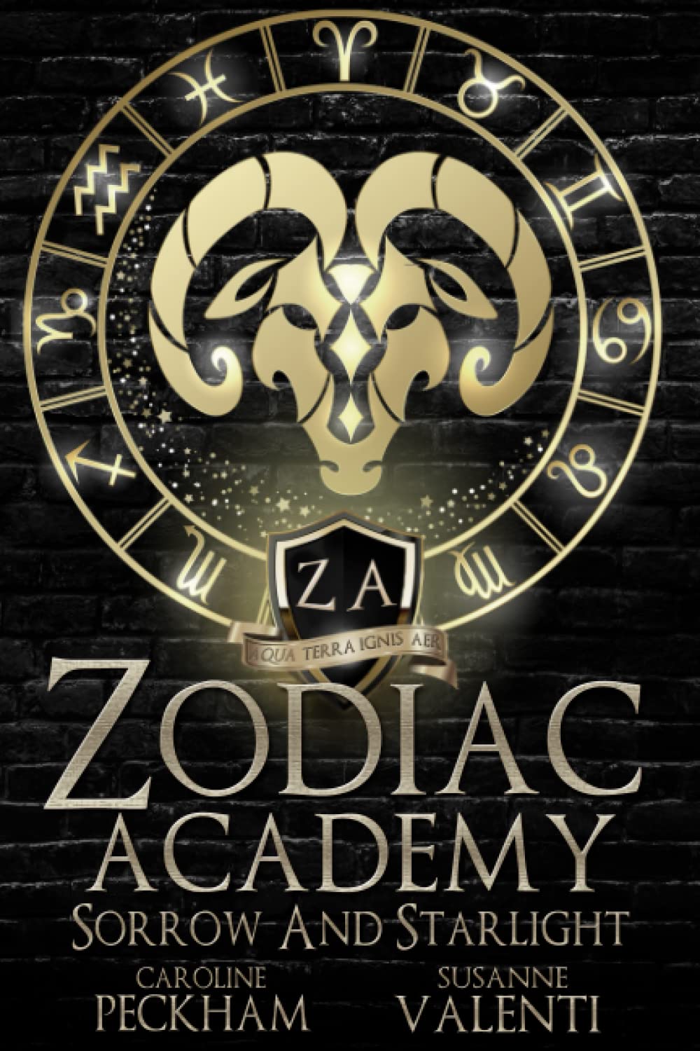 Book cover of 'Zodiac Academy: Sorrow and Starlight' 