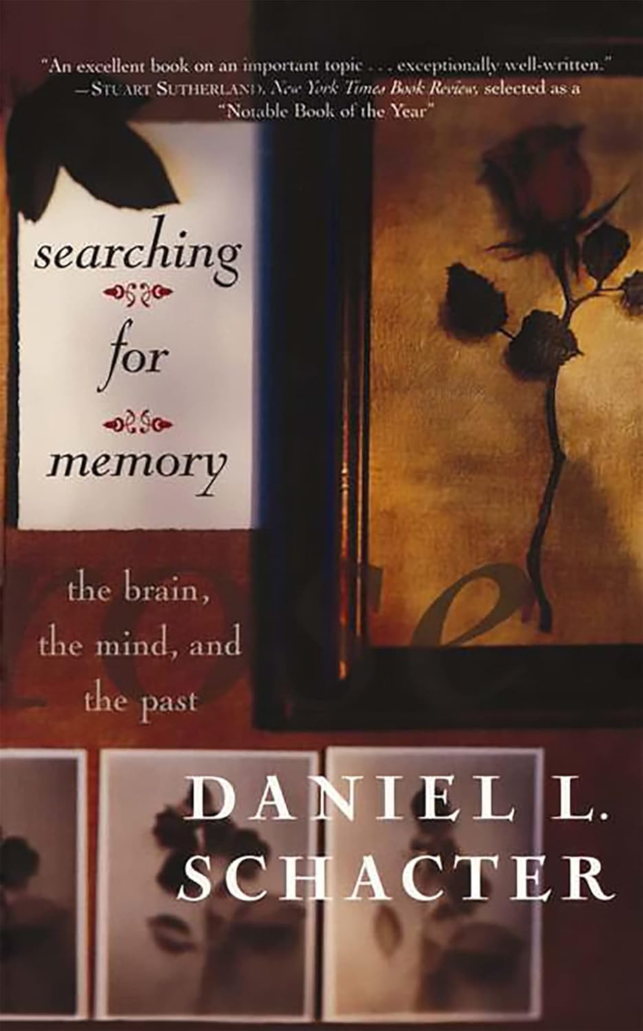 Book cover of 'Searching for Memory' by Daniel L. Schacter