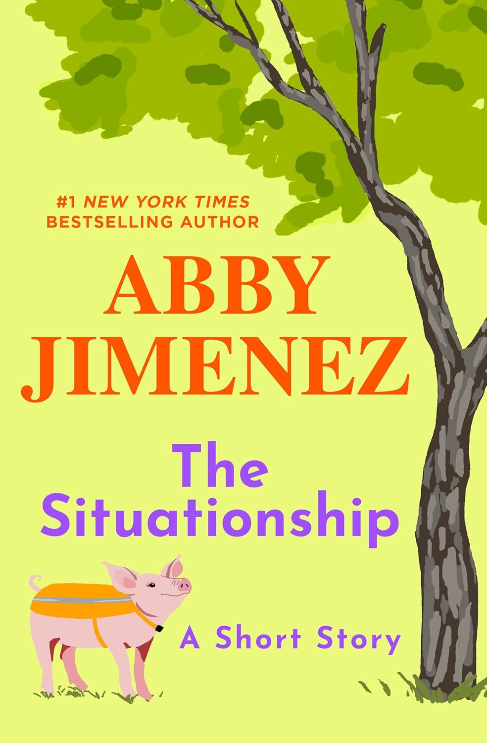 Book cover of 'The Situation' by Abby Jimenez.