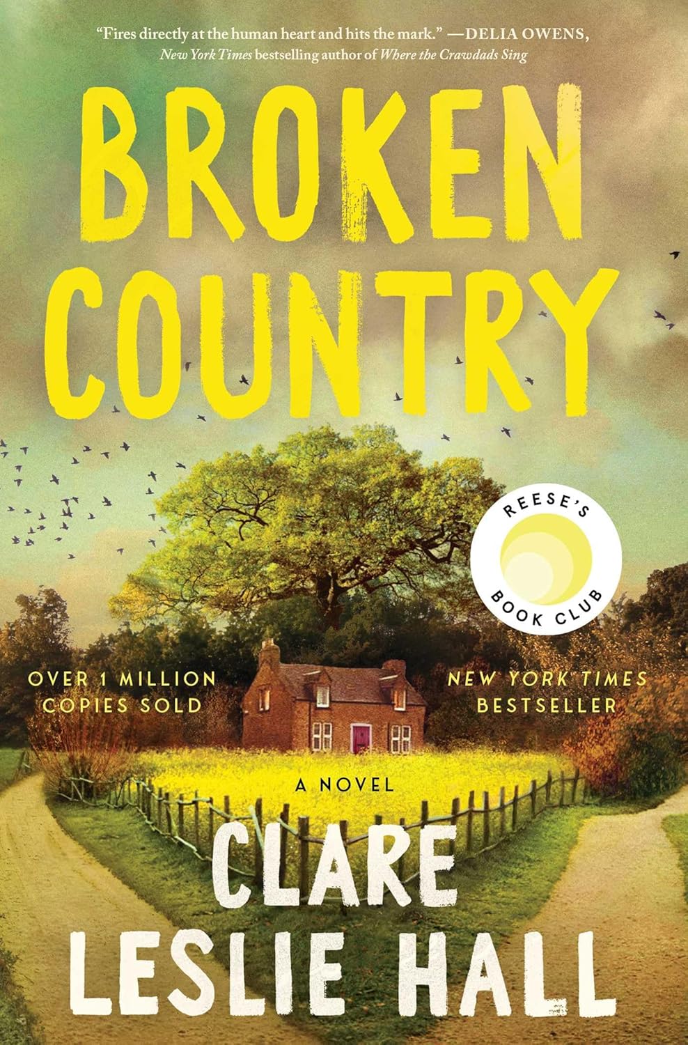 Book cover of 'Broken Country' by Clare Leslie Hall