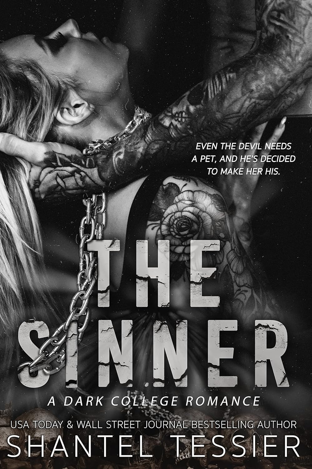 Book cover of 'The Sinner' 