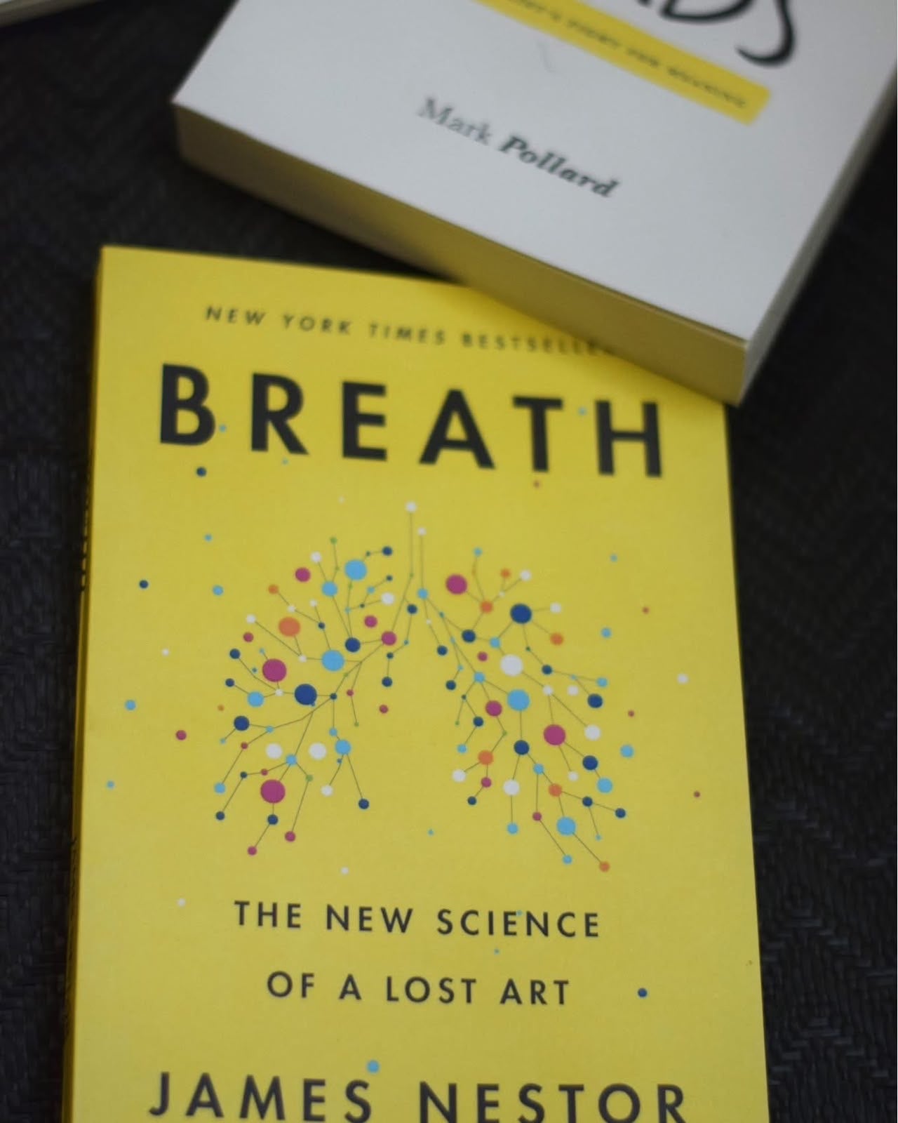 Breath: The New Science of a Lost Art

By James Nestor