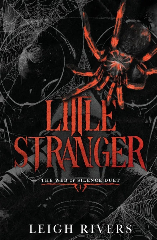 Little Stranger By Leigh Rivers