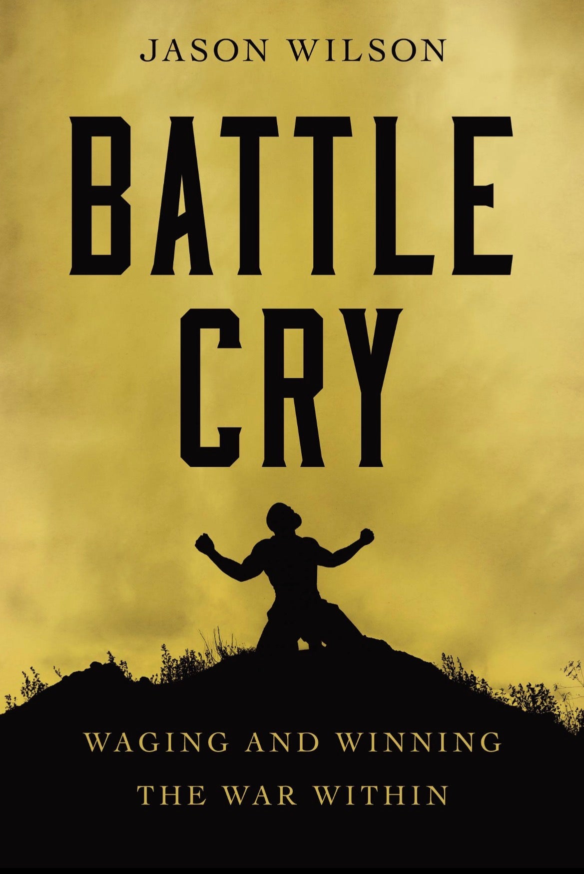 Battle Cry of Freedom
by James M. McPherson
