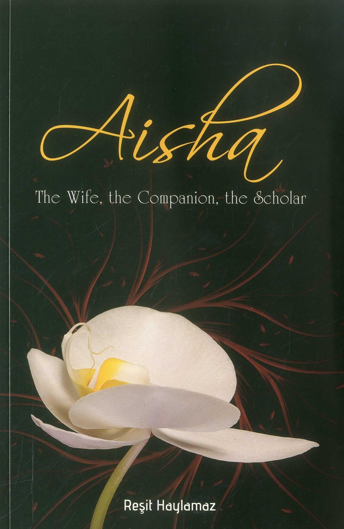 Aisha: The Wife, The Companion, The Scholar by Resit Haylamaz