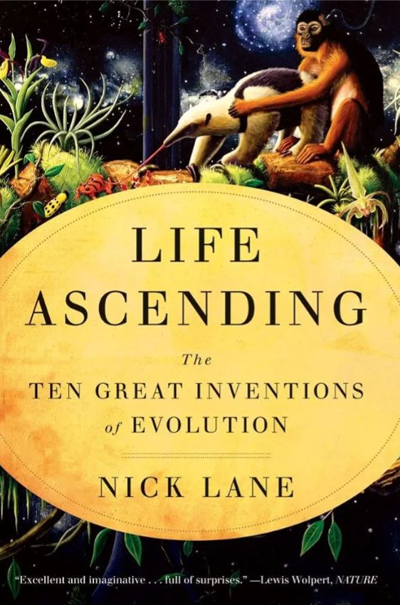 Life Ascending: The Ten Great Inventions of Evolution
Book by Nick Lane