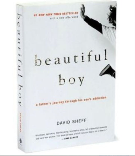 Beautiful Boy: A Father's Journey Through His Son's Addiction
Book by David Sheff