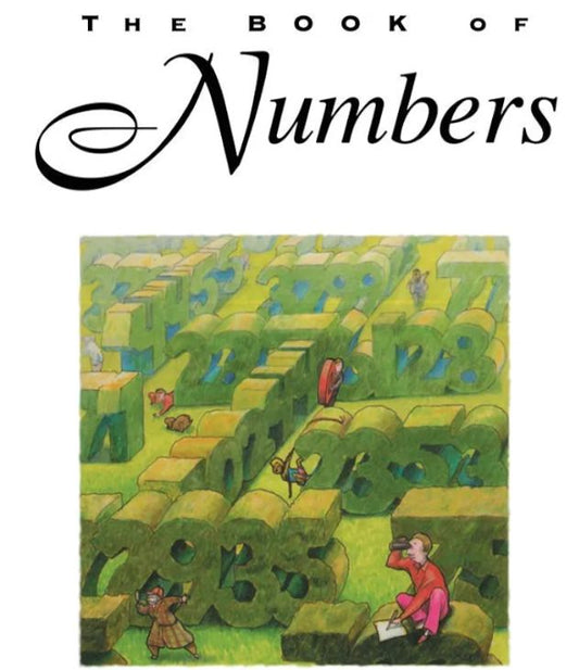 The book of numbers
Book by John Horton Conway
